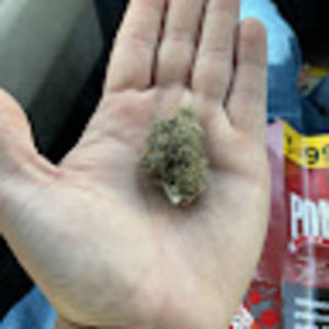 Meet your Posher, Stephen